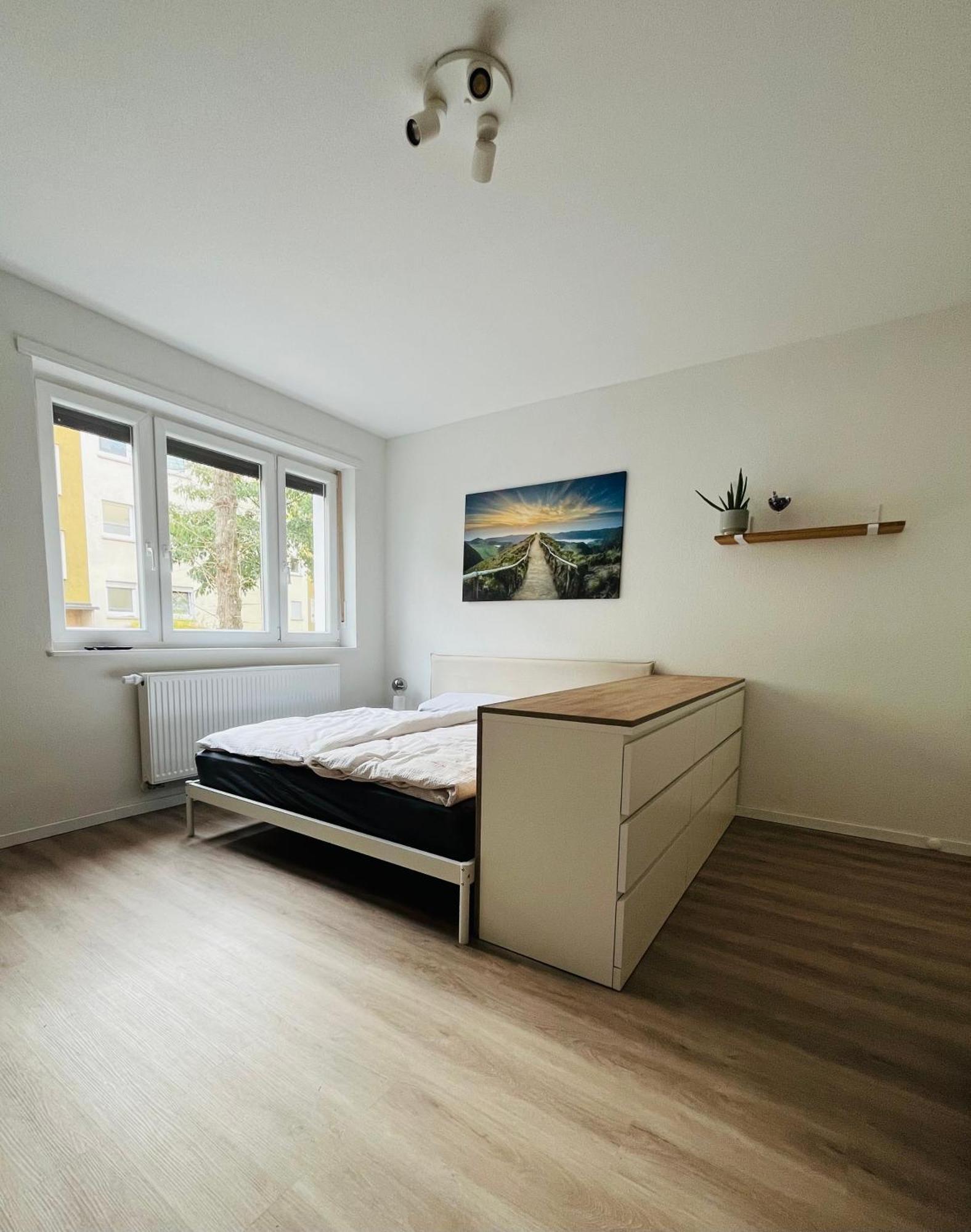 Black Forest City Apartment Mit Kostenlosem Parkplatz فرايبورغ المظهر الخارجي الصورة